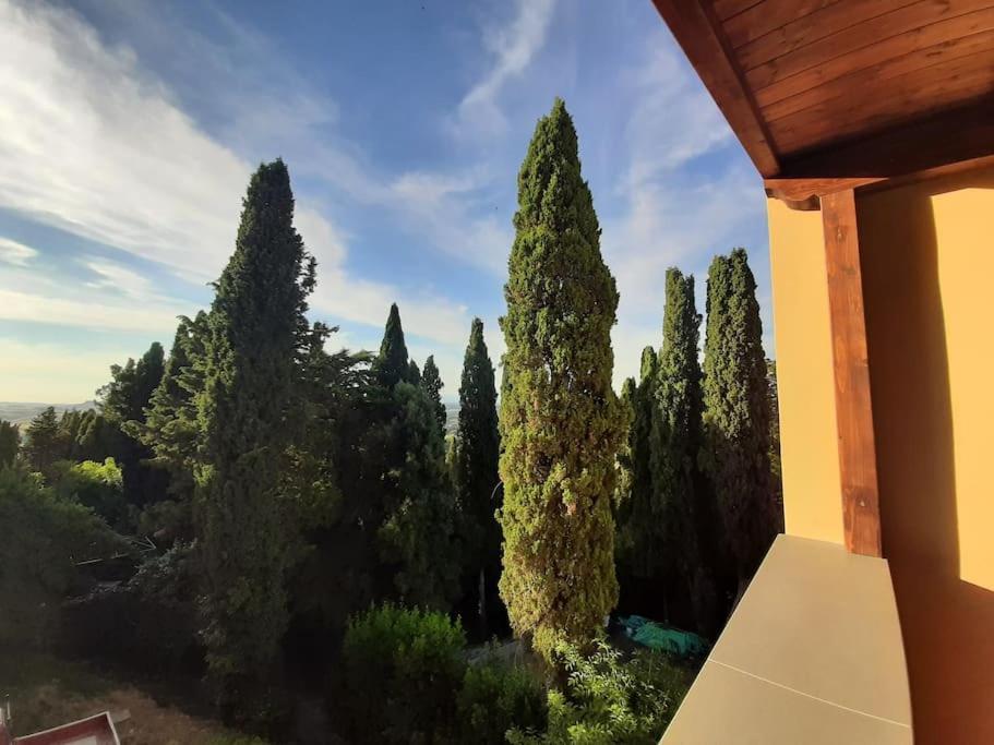 Lajatico Rentals - Terrazza Sul Tramonto Del Silenzio Kültér fotó